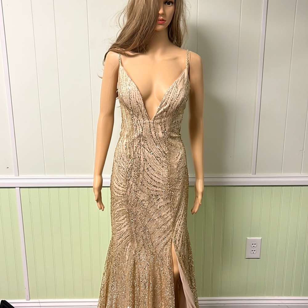 Prom dress, wedding dress or a special occasion dress